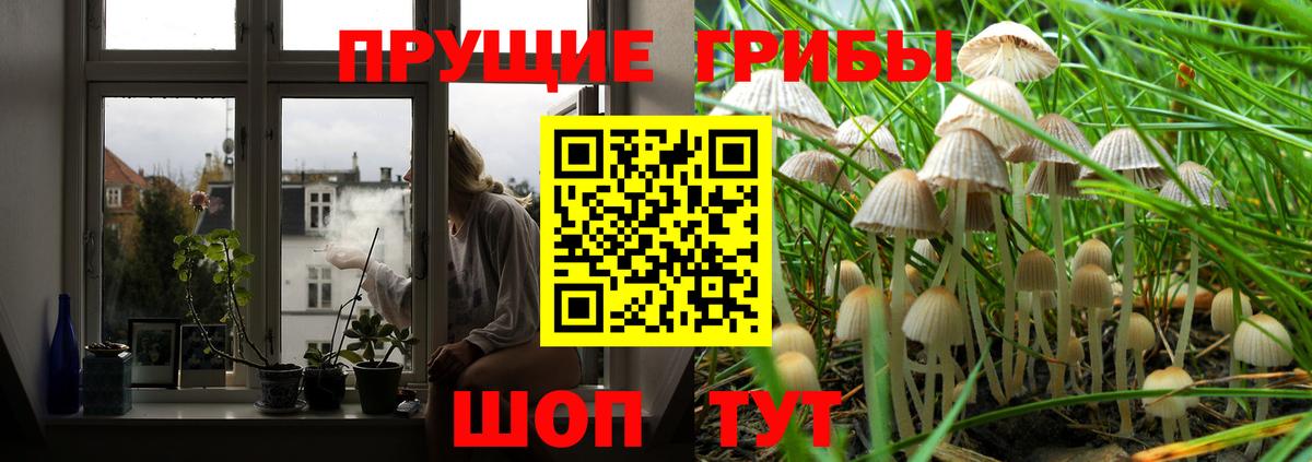 Галлюциногенные грибы ЛСД  Вход с VPN  Ревда 